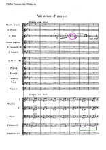 CEM Devoir de Théorie Variation d'Aurore Partition.pdf