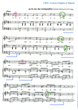 CEM Théorie Partition Donizetti Castagnettes.pdf